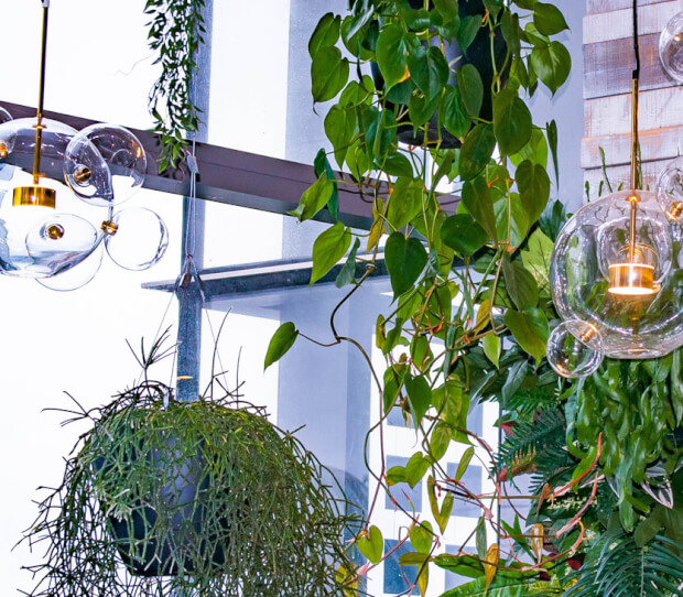 Sushisamba, City 1 - thumbnail