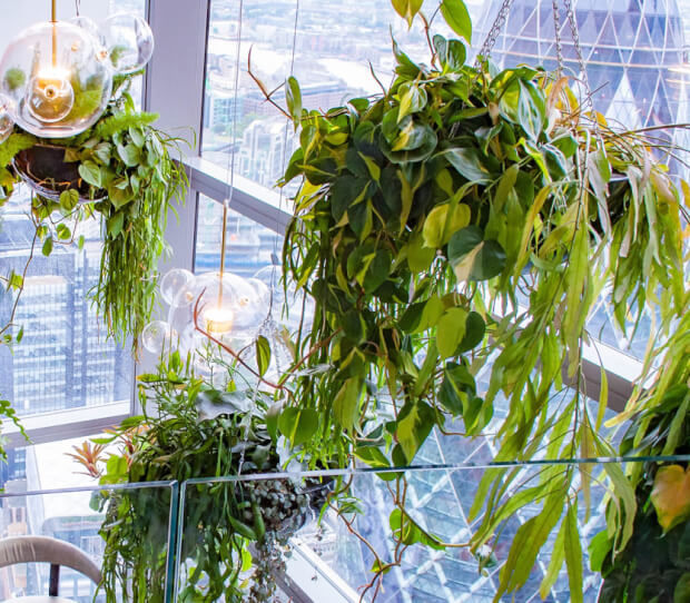 Sushisamba, City 2 - thumbnail