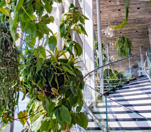 Sushisamba, City 3 - thumbnail