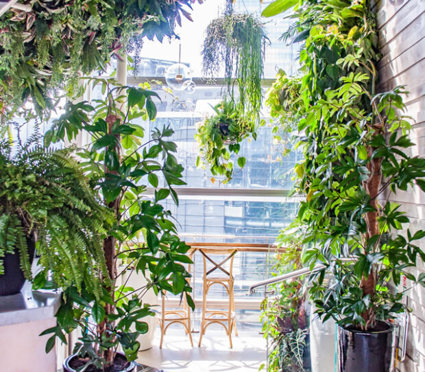 Sushisamba, City 5 - thumbnail