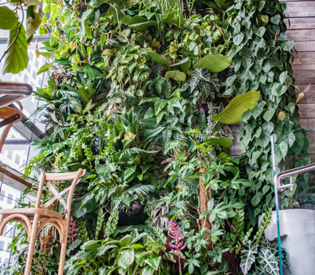 Sushisamba, City 6 - thumbnail