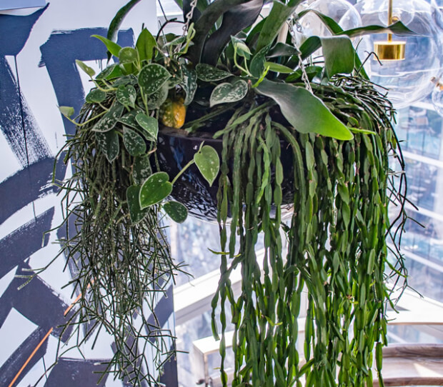 Sushisamba, City 7 - thumbnail