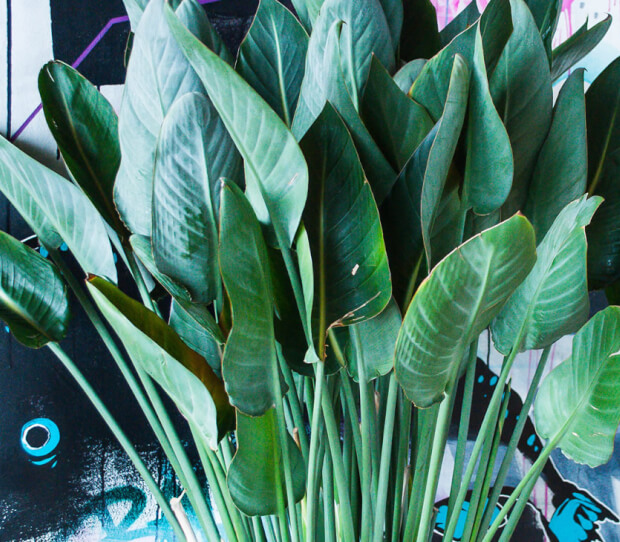 Sushisamba, City 8 - thumbnail