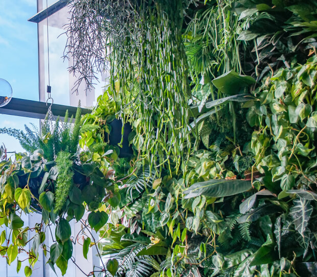 Sushisamba, City 9 - thumbnail