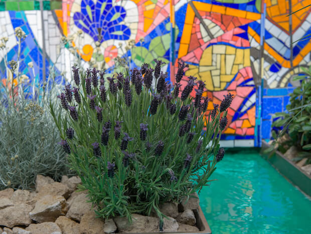 The Viking Cruises Garden 3 - thumbnail