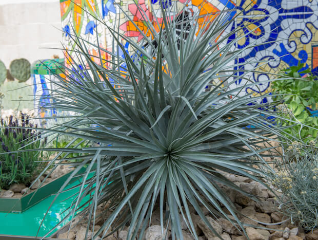 The Viking Cruises Garden 4 - thumbnail