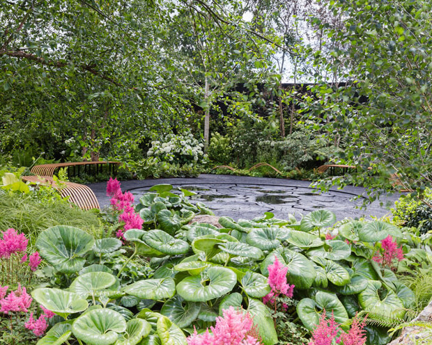 Smart Meter Garden 1 - thumbnail