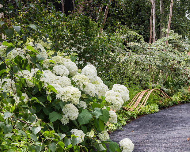 Smart Meter Garden 2 - thumbnail