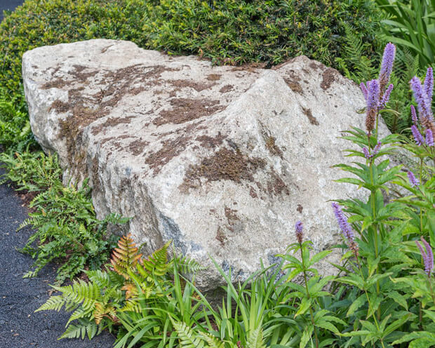 Smart Meter Garden 4 - thumbnail