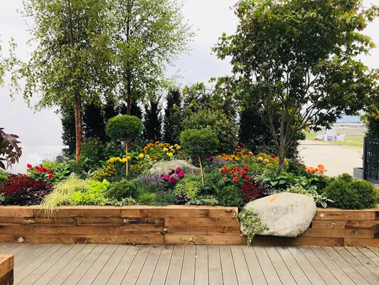 Kingfisher 1 - thumbnail