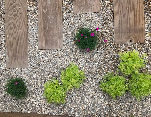 Kingfisher 2 - thumbnail