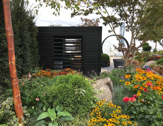 Kingfisher 5 - thumbnail