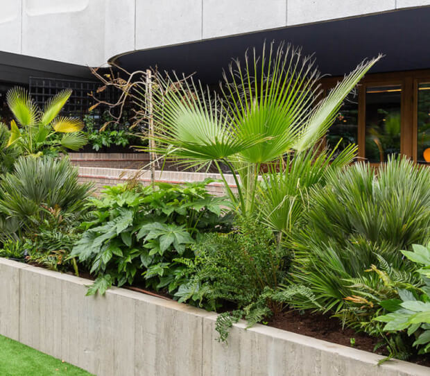 The Standard Hotel 1 - thumbnail