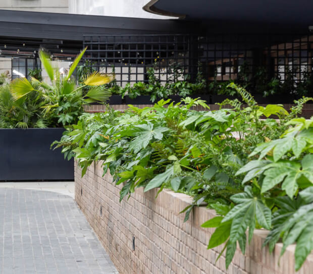 The Standard Hotel 2 - thumbnail