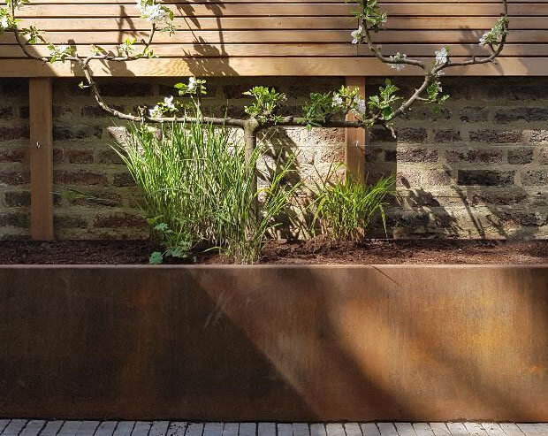 Hammersmith Grove 2 - thumbnail