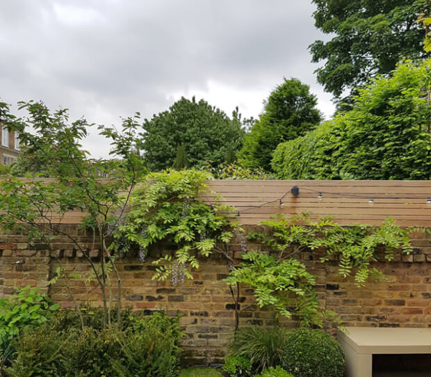 The Chase 2 - thumbnail