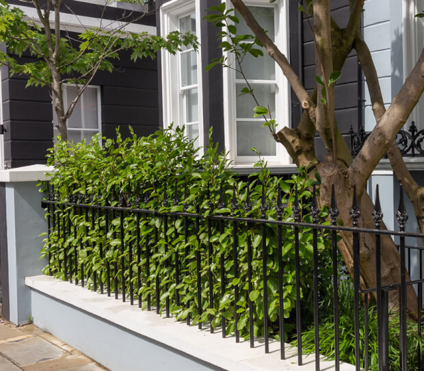 Notting Hill Garden 20-5 - thumbnail