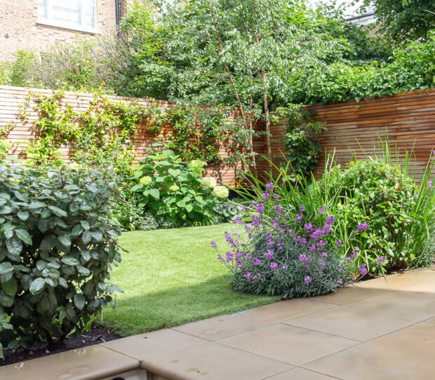 Notting Hill Garden 20-6 - thumbnail