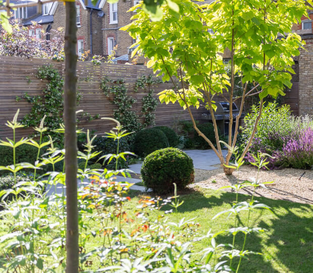 Wandsworth Common Family Garden 1 - thumbnail