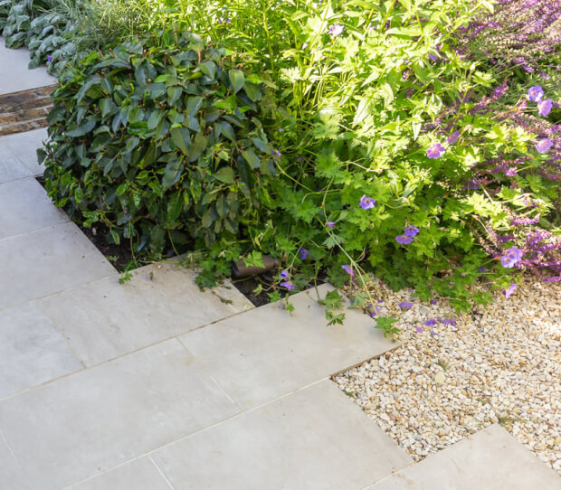 Wandsworth Common Family Garden 7 - thumbnail