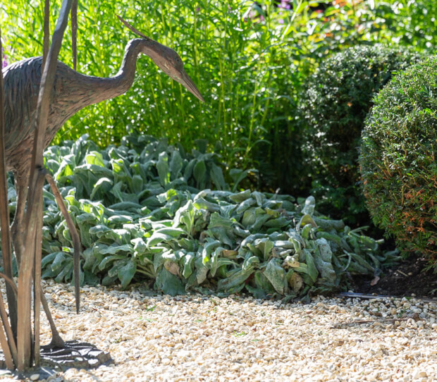 Wandsworth Common Family Garden 8 - thumbnail