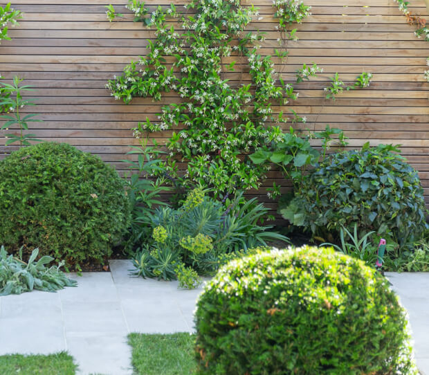 Wandsworth Common Family Garden 9 - thumbnail