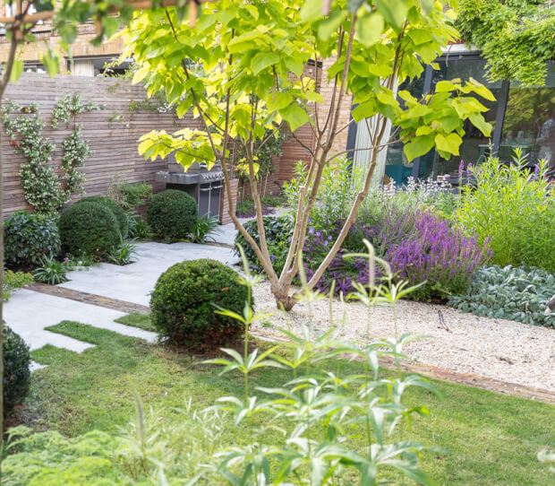 Wandsworth Common Family Garden 10 - thumbnail