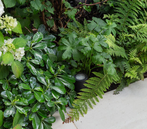 South Kensington Courtyard Garden 11 - thumbnail