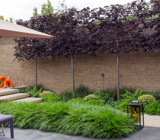 Clapham Luxury Garden 5 - thumbnail