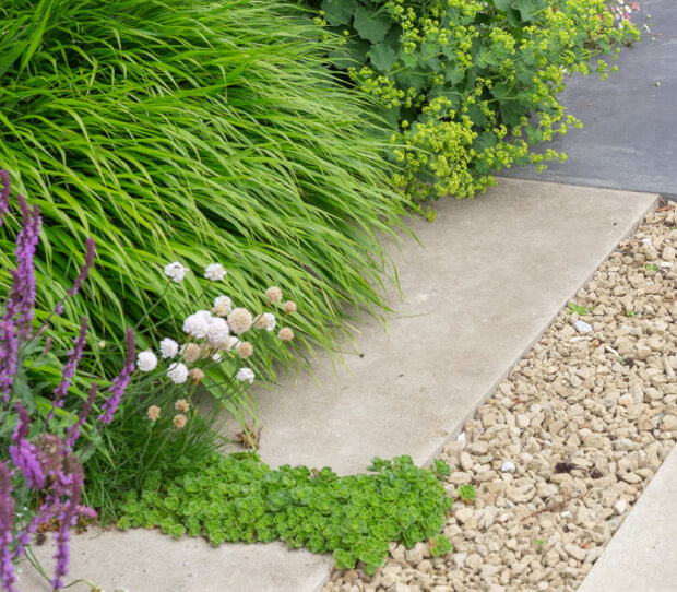 Clapham Luxury Garden 7 - thumbnail