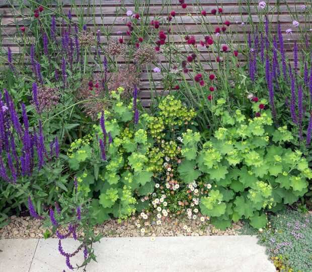 Clapham Luxury Garden 8 - thumbnail