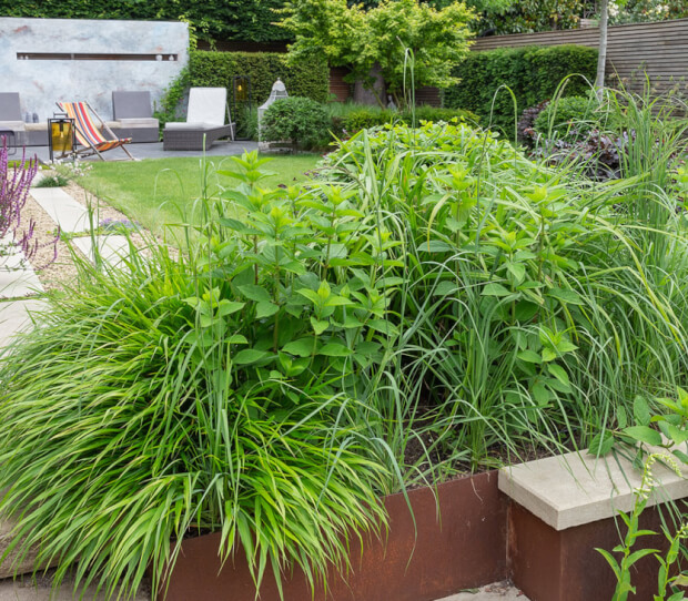 Clapham Luxury Garden 10 - thumbnail