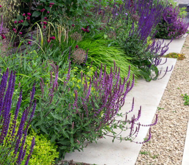 Clapham Luxury Garden 11 - thumbnail