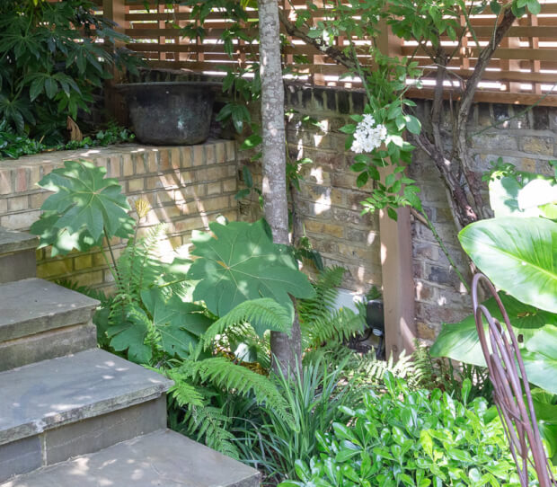 Battersea Shaded Garden 4 - thumbnail