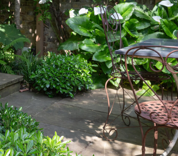 Battersea Shaded Garden 6 - thumbnail