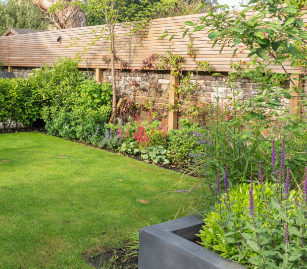 Ealing Large Garden 3 - thumbnail