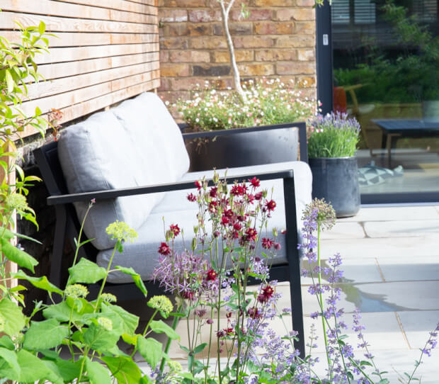 Ealing Large Garden 4 - thumbnail