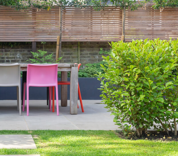 Ealing Large Garden 5 - thumbnail