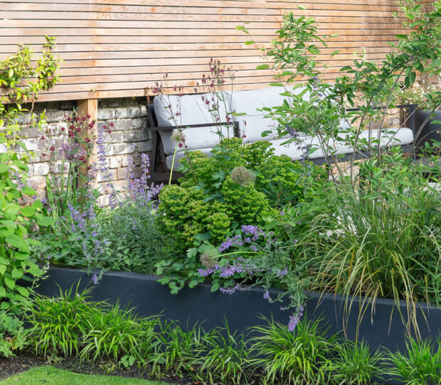 Ealing Large Garden 6 - thumbnail