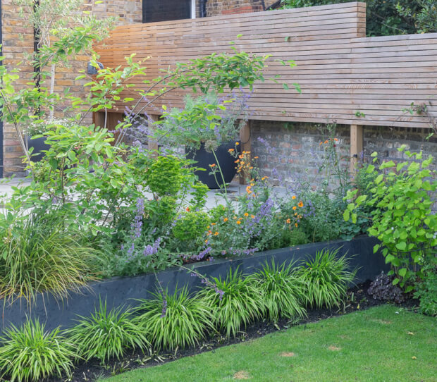 Ealing Large Garden 8 - thumbnail