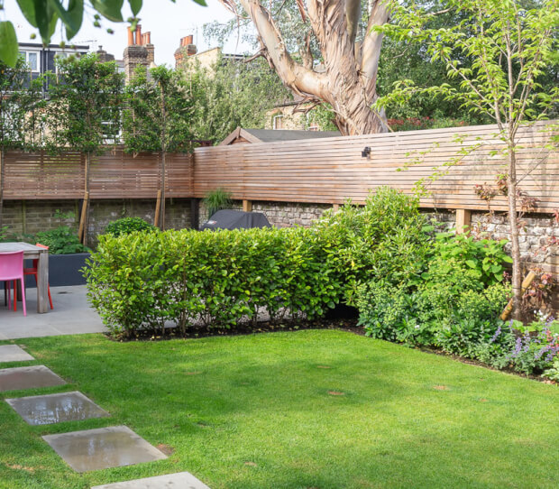 Ealing Large Garden 10 - thumbnail