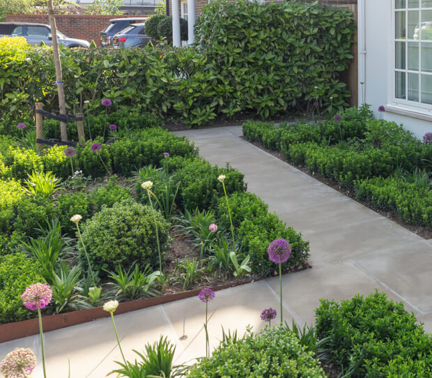 London Ditton Front Garden 5 - thumbnail