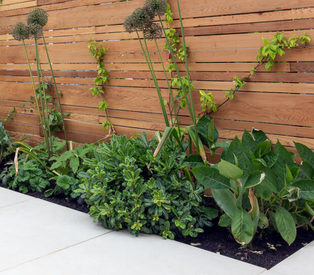 Fulham Courtyard Garden 5 - thumbnail