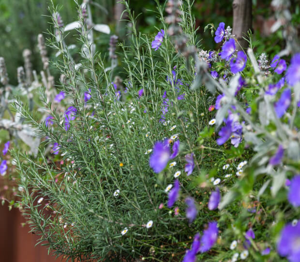 South London Modern House 4 - thumbnail