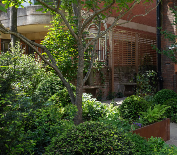 Battersea Front Garden 1 - thumbnail