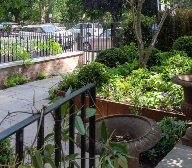 Battersea Front Garden 2 - thumbnail