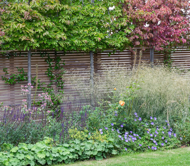 South London Town House 3 - thumbnail