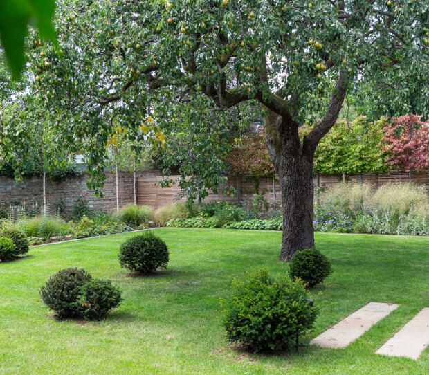 South London Town House 4 - thumbnail