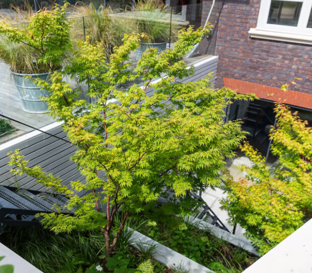 South London Town House 10 - thumbnail