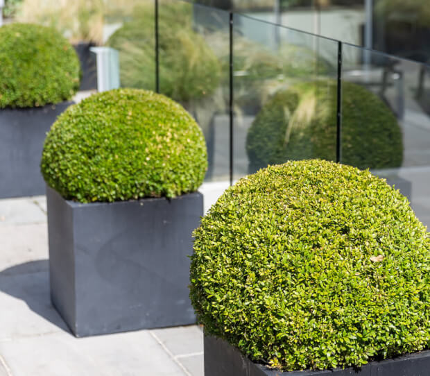 Richmond Sculpture Garden 8 - thumbnail